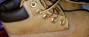 Toddler's Timberland boots